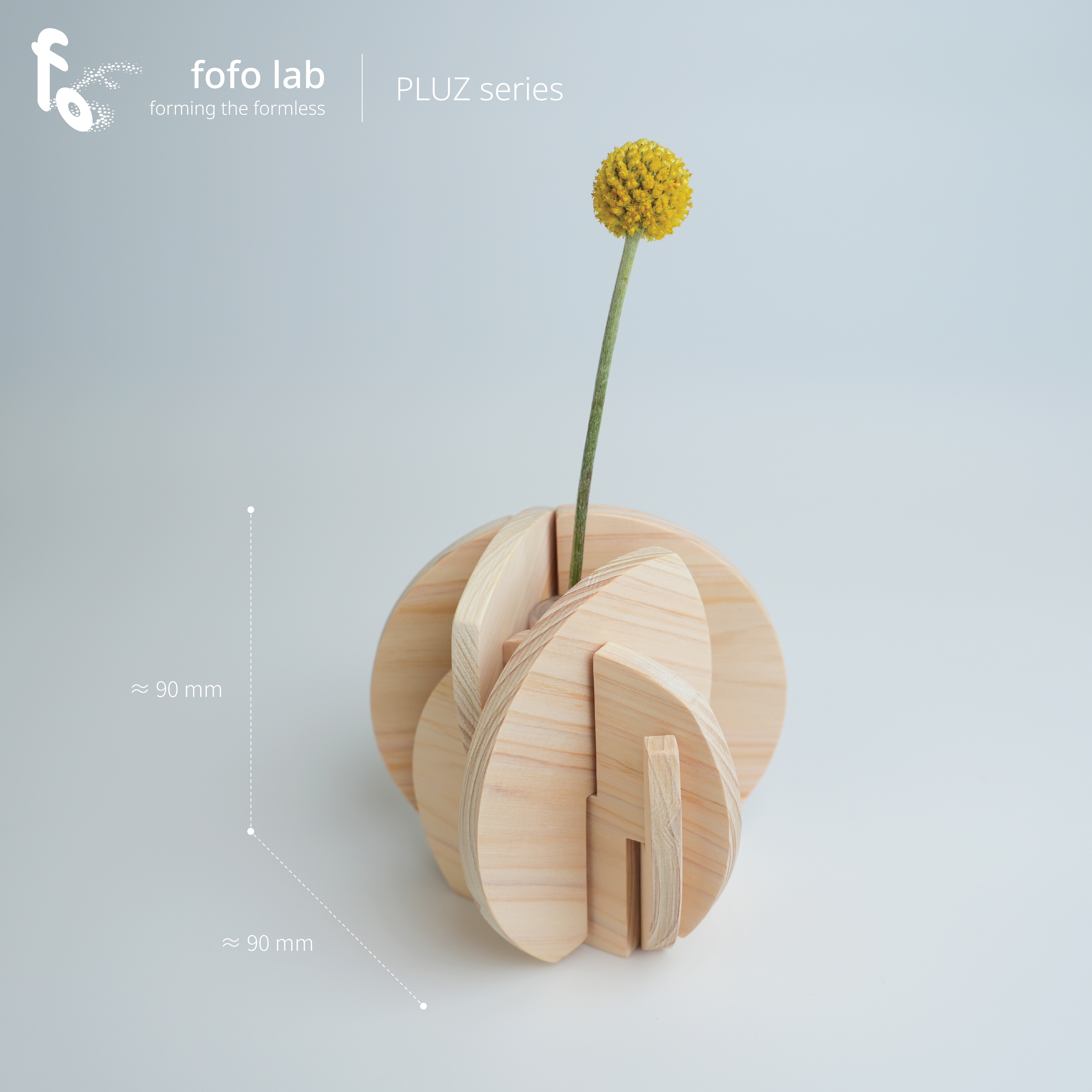 PLUZ｜木板の花器 × ミニボル